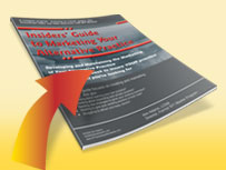 sample pages from The Insider's Guide